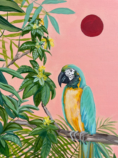 Sunset Macaw