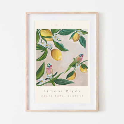 'Limoni Birds' Fine Art Print