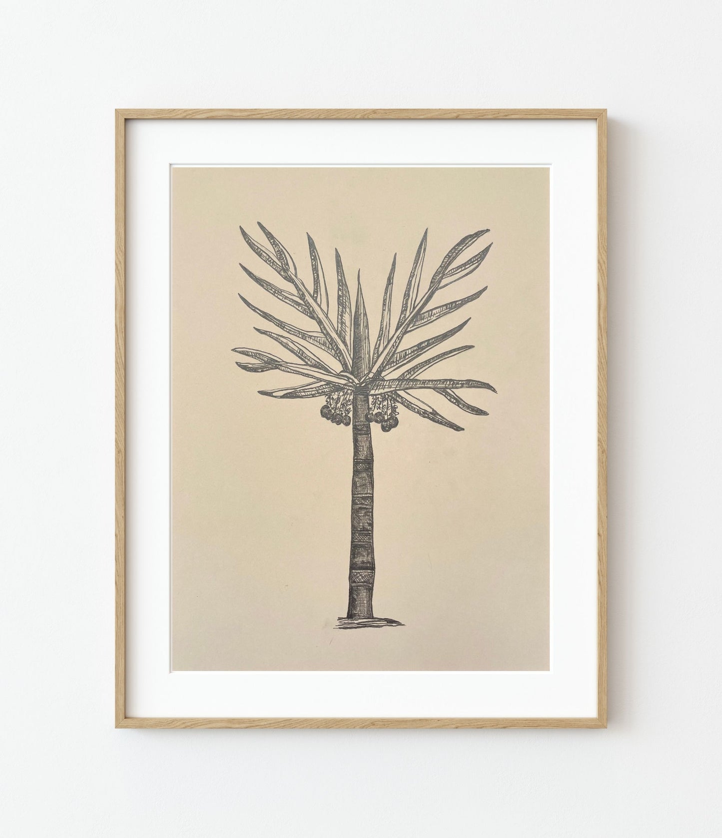 'Auellana Indica' Fine Art Print