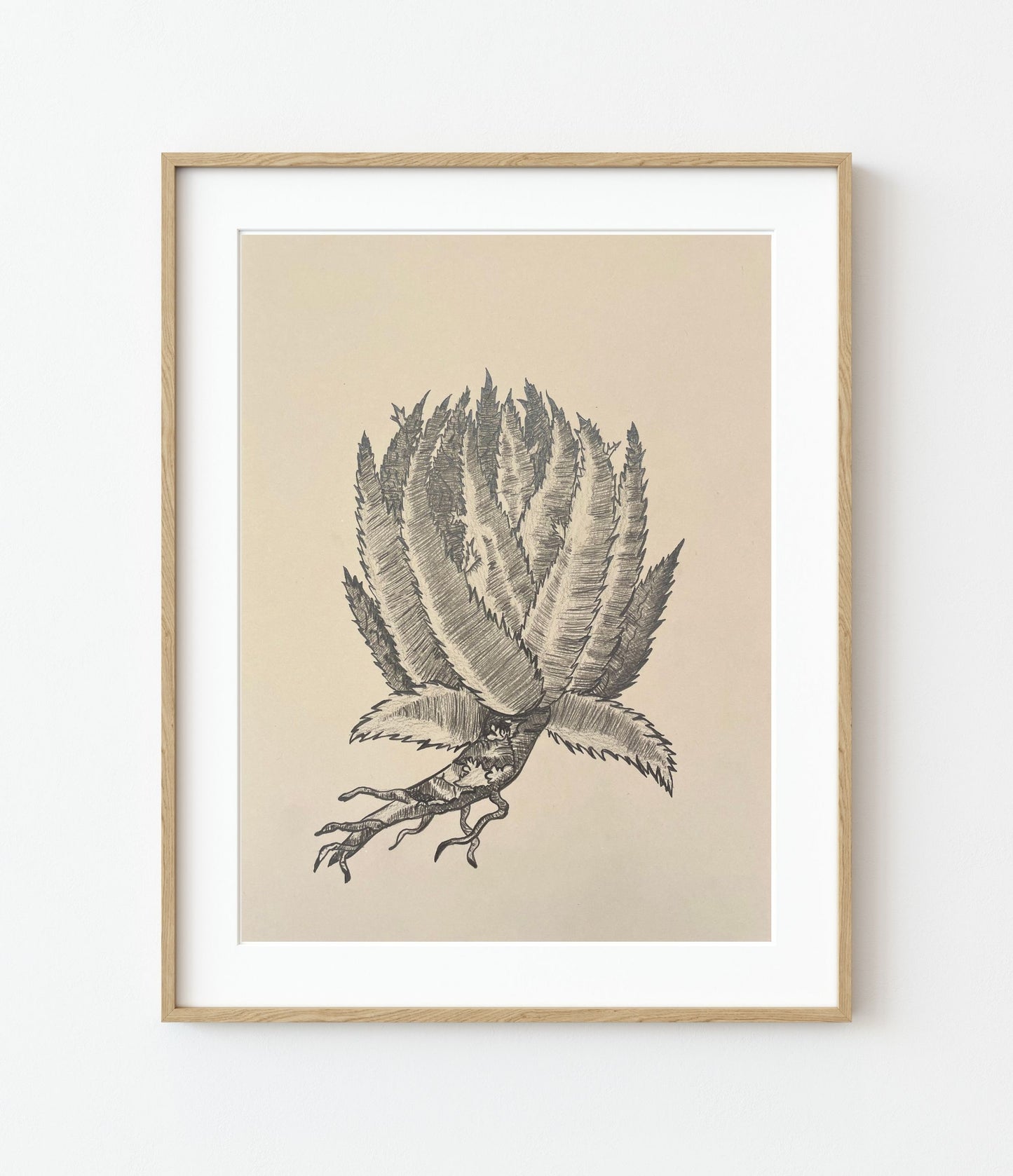 'Aziuar' Fine Art Print