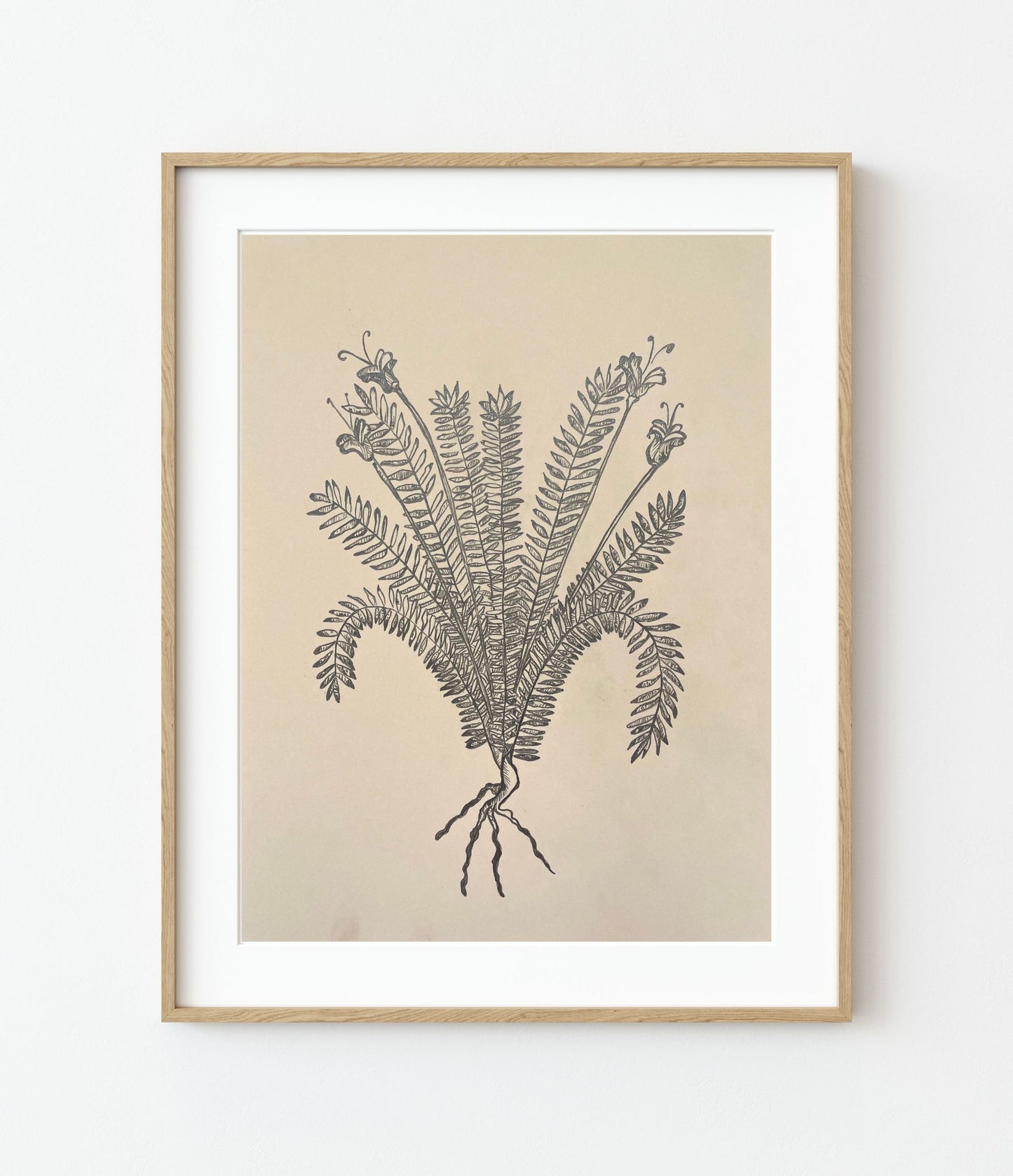 'Yerua Biua' Fine Art Print