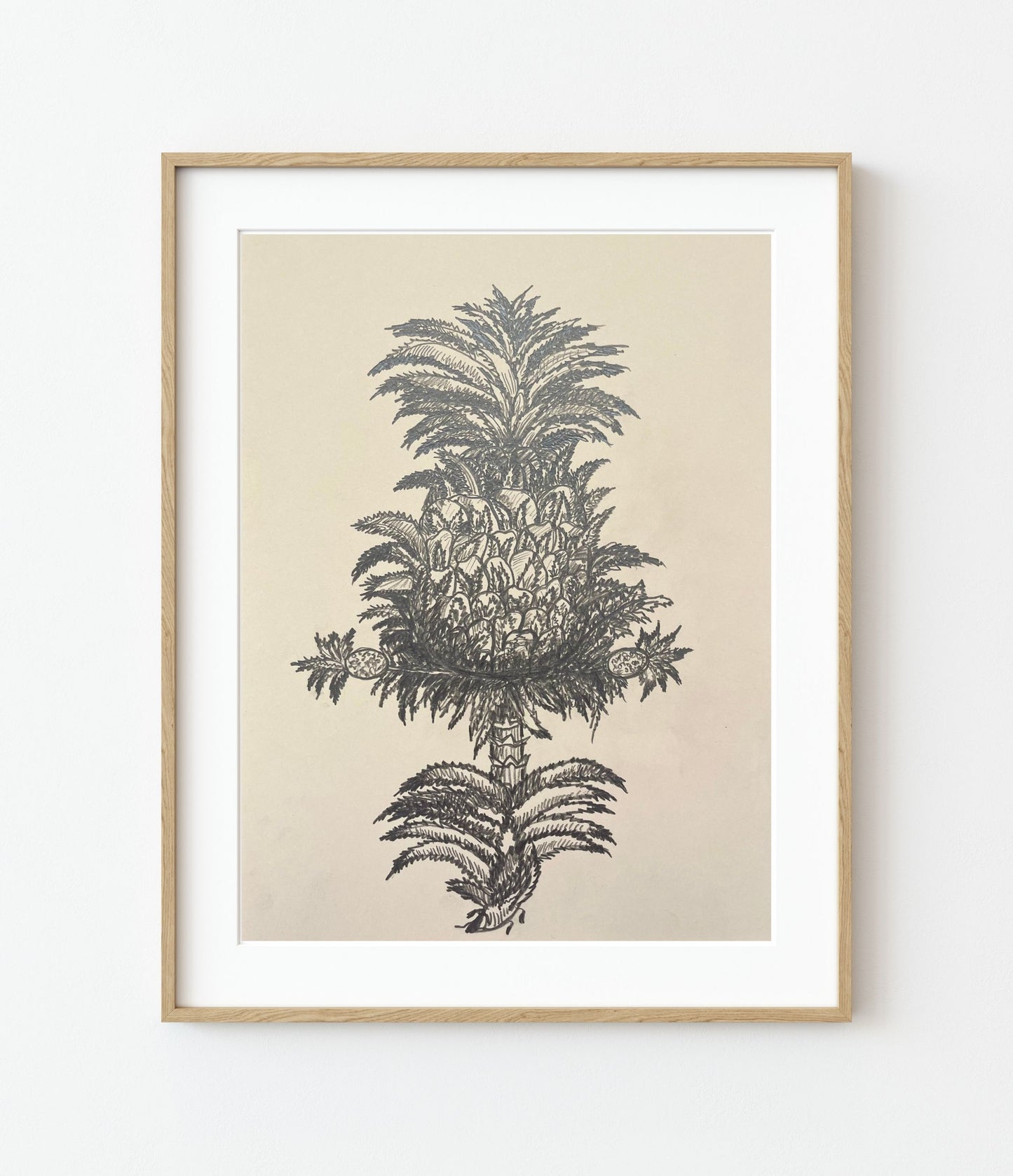 'Ananas' Fine Art Print