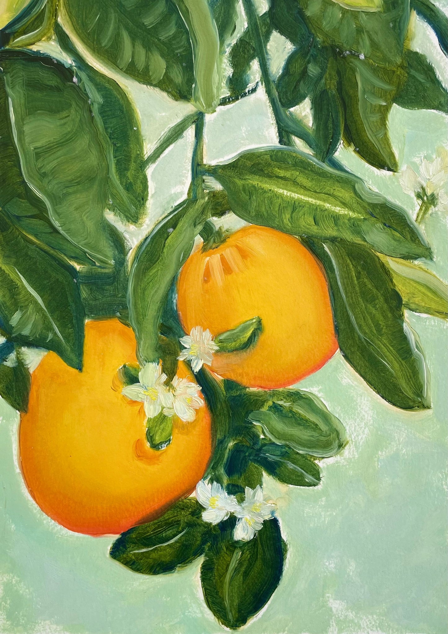 'Orange Blossom' Fine Art Print