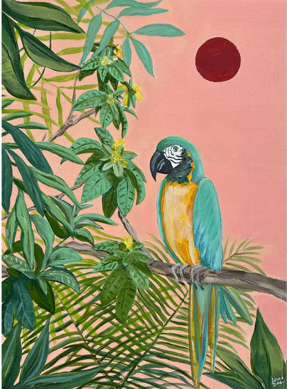 'Sunset Macaw' Fine Art Print